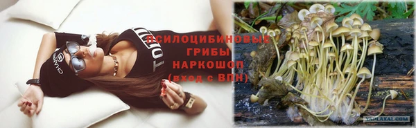 молекула духа Балахна