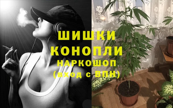 гашик Баксан