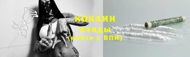 тгк Аркадак