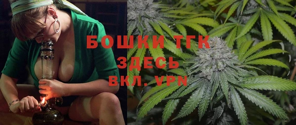 тгк Аркадак