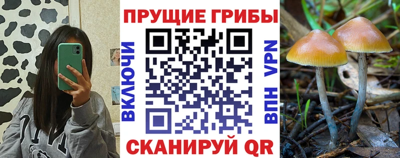 Галлюциногенные грибы ЛСД Балей